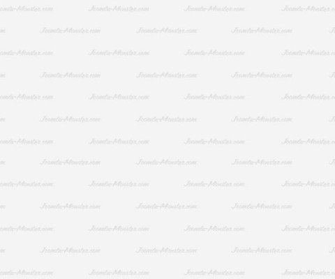picjumbo.com_HNCK7678